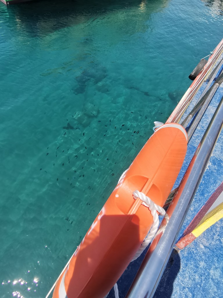 A school of fish seen from the ferry deck in Tingloy, Batangas.